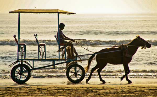 Kashid-beach-horse-carriage